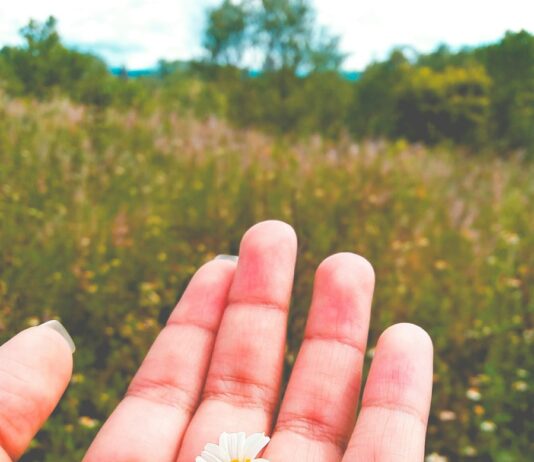 Găsește Bucurie în Lucrurile Mici: Cum Să Cultivi Recunoștința și Prezența în Momentul Prezent Photo "Find Joy in Small Things: How to Cultivate Gratitude and Presence in the Present Moment"