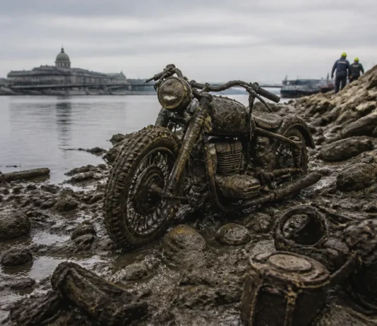 Dunărea scăzută scoate la iveală soldați germani și o motocicletă militară din Al Doilea Război Mondial Dunărea scăzută scoate la iveală soldați germani și o motocicletă militară din Al Doilea Război Mondial